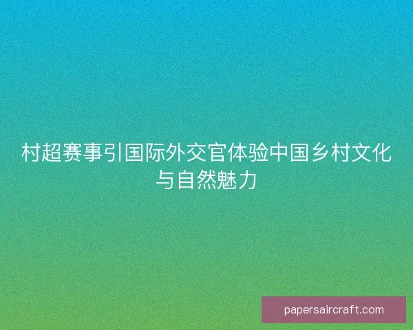 村超赛事引国际外交官体验中国乡村文化与自然魅力